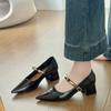 Fashion Korean Block Heel Mary Jane Retro Single Shoes Women's 2025 New Autumn Pointed Toe Shallow Mouth Vintage Strap High Heels