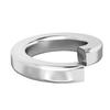316 Stainless Steel M4-M16 Lock & Flat Spring Washers