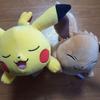[Super Mercari City Limited Time Discount] Pokemon Pikachu, Eevee Stuffed Toy Set