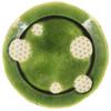 Seto Ware, Kofu Kiln, 8-inch Plate, Large Plate, Approximately 24cm In Diameter, Oribe Green, Hemp Leaf Pattern, Made In Japan, 027-0011