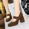Fashion 2025 Women Baotou Round Toe Platform Heel Mary Jane Shoes Women Shallow Elegant Trend Comfortable Fashion Shoes Shoes for Women