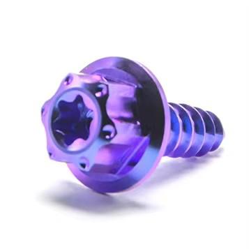 TMJ Gr5 Titanium Bolts Air Filter Bodywork Self-Tapping Screw Flange Head Hex Screw Bolts for Motorcycle Car Bicycle
