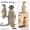 Siberian, Male, African, and White Tiger Cognitive Toy Set for Kids.