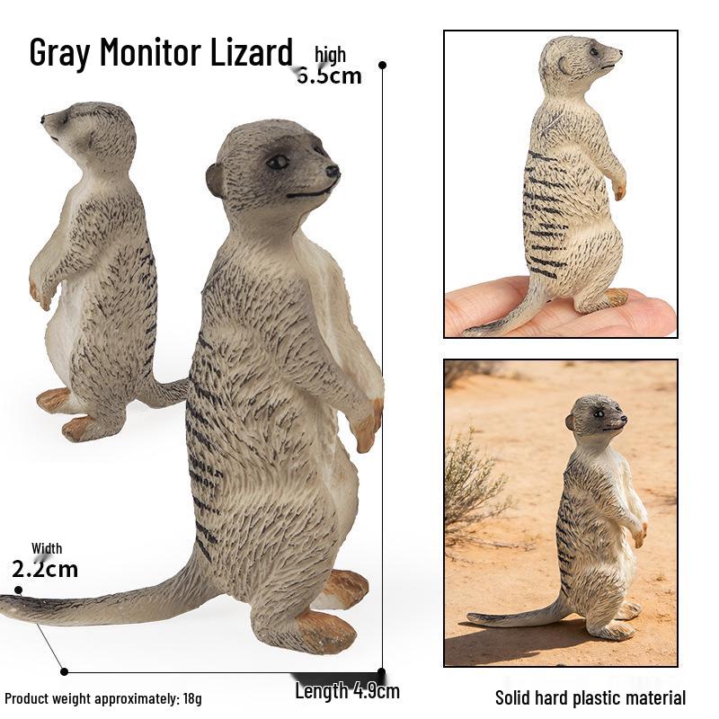 Siberian, Male, African, and White Tiger Cognitive Toy Set for Kids.