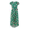 Womens/Ladies Animal Print Flutter Wrap Dress