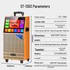 SAST 17-inch Screen Karaoke Speaker (CN version)