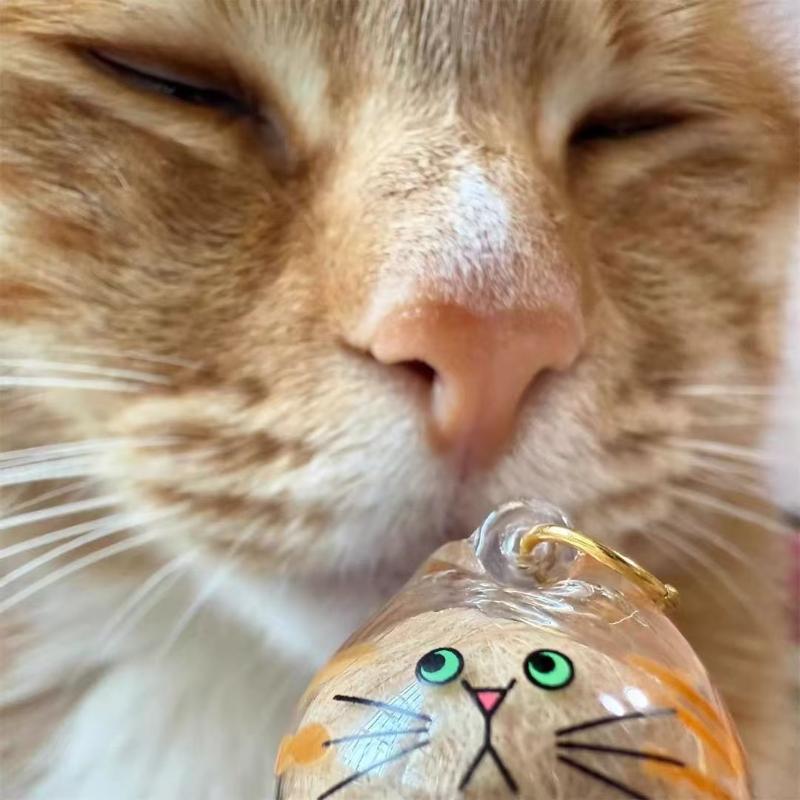 1 Piece Pet Lovers Home Display Gifts Clear Puppy Hair Memorial Keepsake Capsule Pet'S Dog Fur Container Diy Pendant Keychain