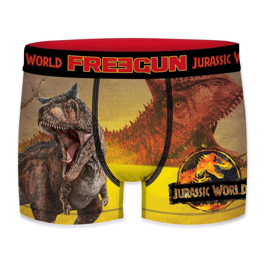 Sweat Graphique éducatif Sweat à Capuche Jurassic World Pour Garçon - Motif T-Rex, 100% Coton, Tailles 4-5 Ans à 9-10 Ans Vêtement Garçon Thème Dinosaure