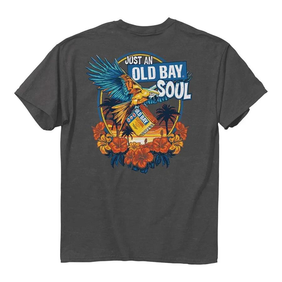 New MARYLAND my Maryland Flag Just an OLD BAY Soul T Shirt 2XL