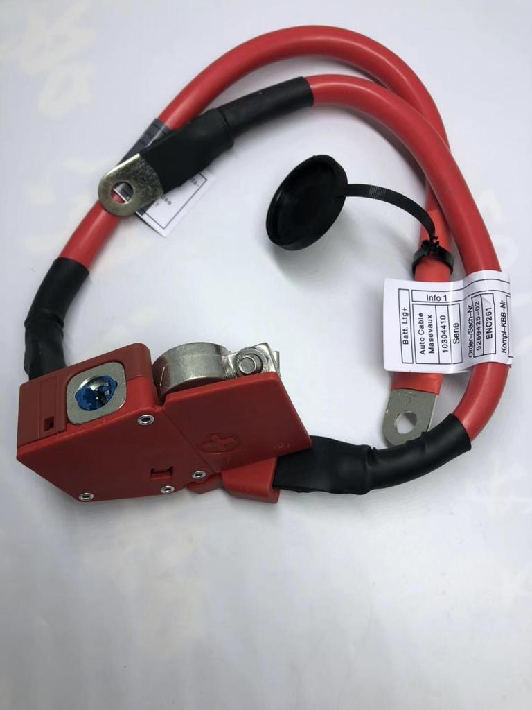 BMW F30/F31/F34/F36 Batteriekabel 61129259425