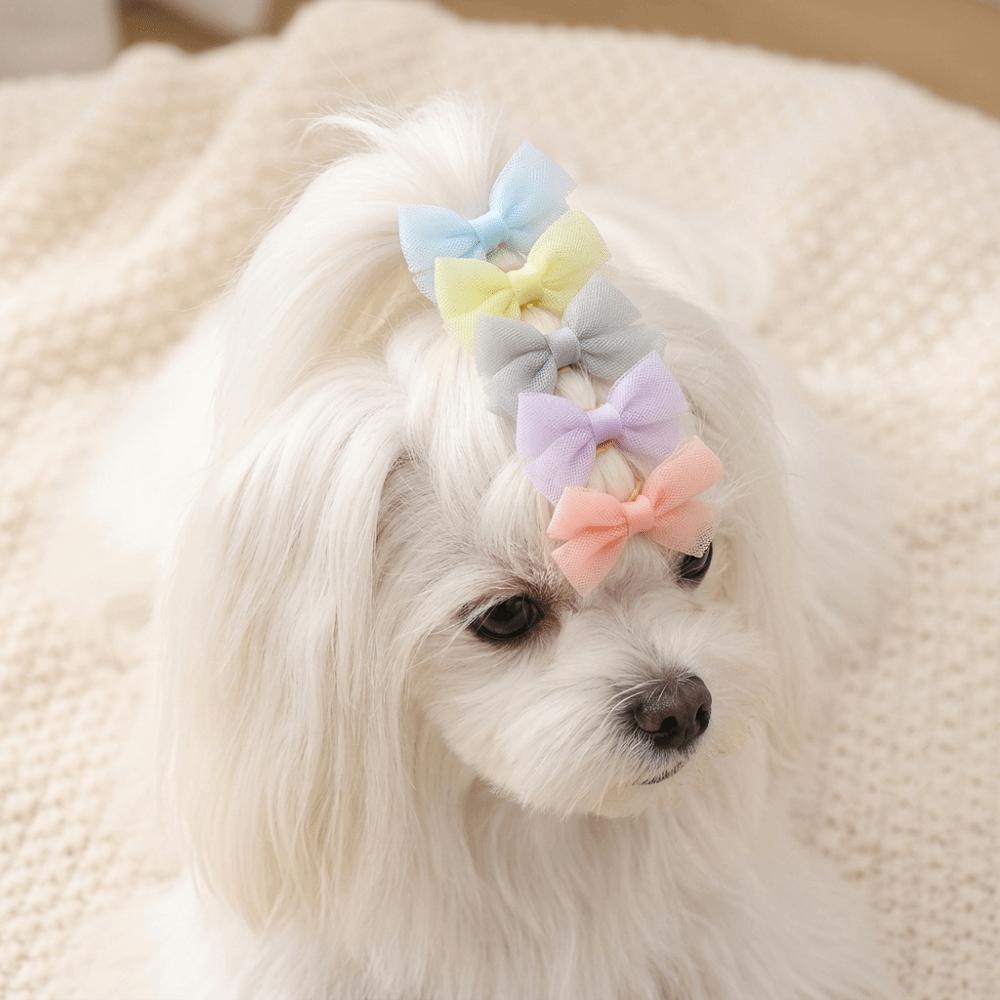 36PCS Bow Shape Pet Hair Bow Handmade Pet Hair Clip Exquisite Craft Pet Head Ornament Party Decor