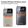 Pocket Radio FM Receiver Bluetooth Speaker TF Card Music Player with Light