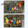 Parrot Toy Foraging Ball Toy, Plastic Hollow with Bell, Bird Enrichment Cage for Lovebird Budgie Cockatiel Conure Chew Resistant