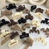 Popular Coffee Black Beige Hair Clip Frosted Large Hair Claw Crab Clips Acrylic Hairpins Geometric Shark Clip