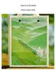 Eco-Friendly Green Tea Gift Box with Longjing, White Tea, Biluochun, Maojian, Cup & Iron