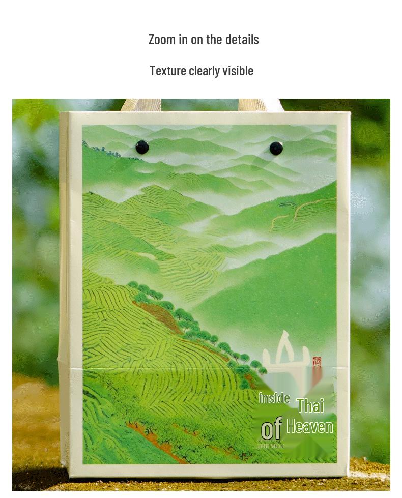 Eco-Friendly Green Tea Gift Box with Longjing, White Tea, Biluochun, Maojian, Cup & Iron