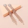 Gentle Temperament Long Earrings Exquisite Simple Niche Earrings Versatile Micro Diamond Fringed High-End Earrings