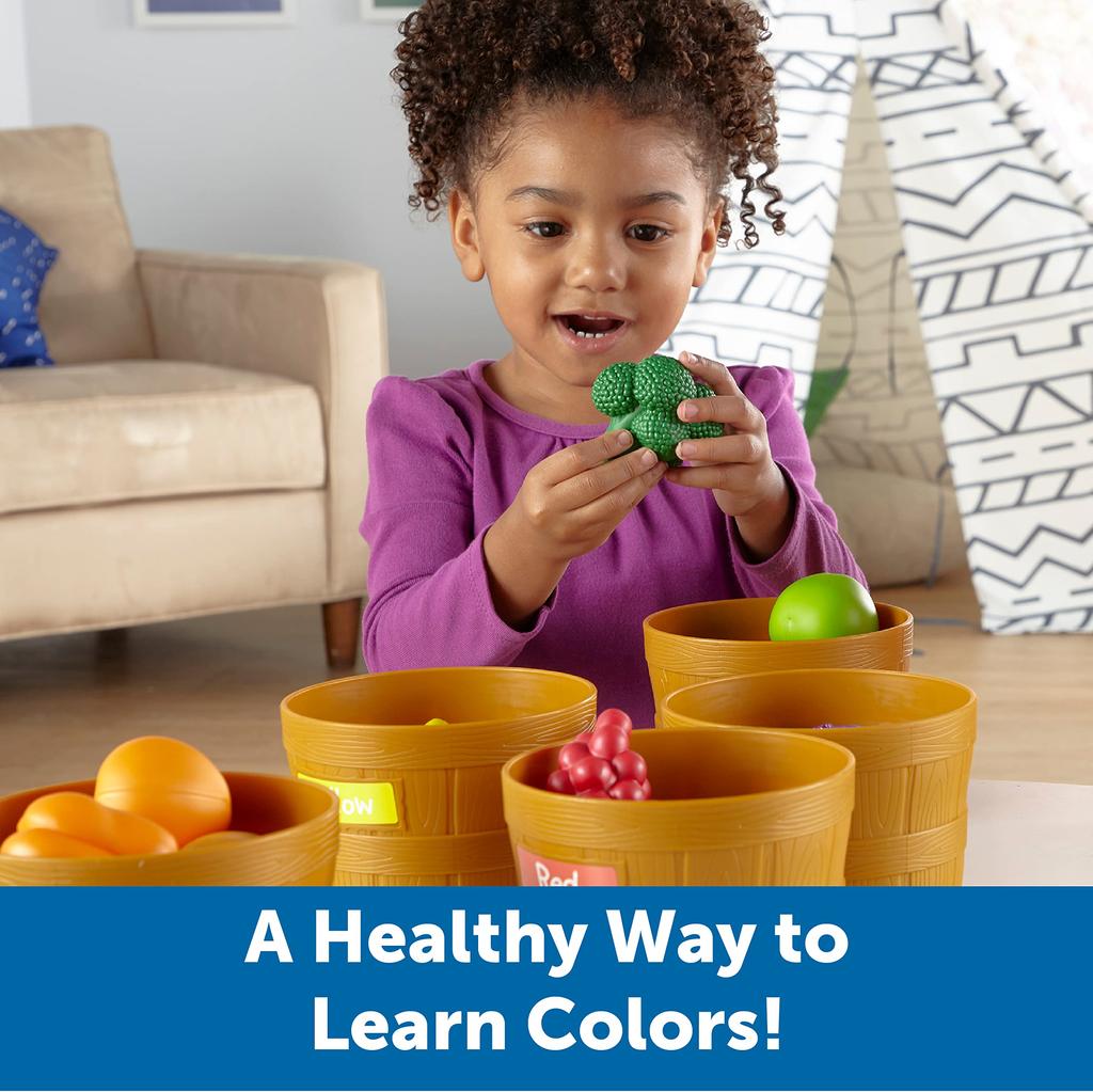 Learning Resources Market Color Sorting Set LER 3060 Farmer's