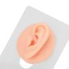 Elastyczny silikonowy model ucha do ćwiczenia przekłuwania i nauczania