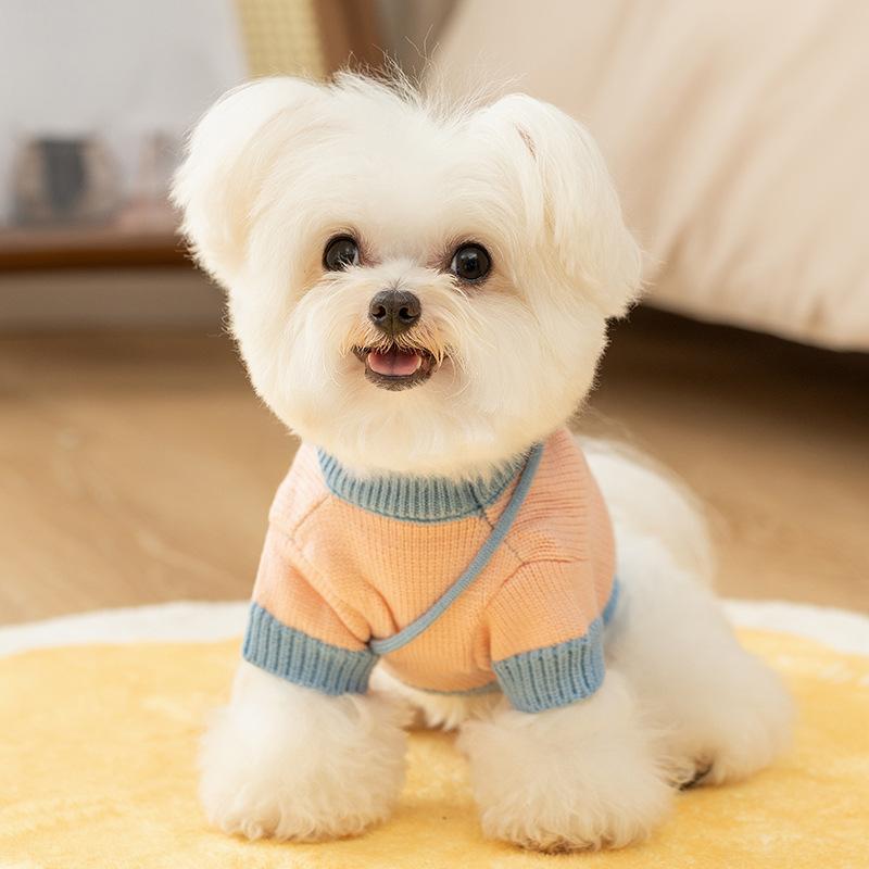 Dog clothes Autumn and winter small puppies and kittens warm two-legged knitted sweater Yorkshire teddy pet clothing
