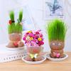 Room Decor Mini Grass Head Doll Small Potted Plant Watering Green Plants Beautiful Children Gifts Indoor Balcony Pot Planters