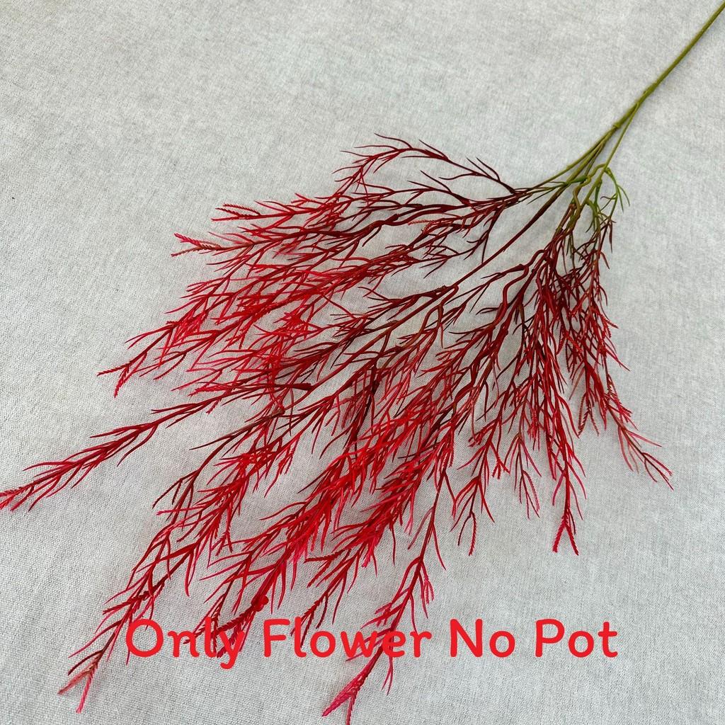 Artificial Arundinacea Phalaris Floral Decor For Living Room And Prop Photo