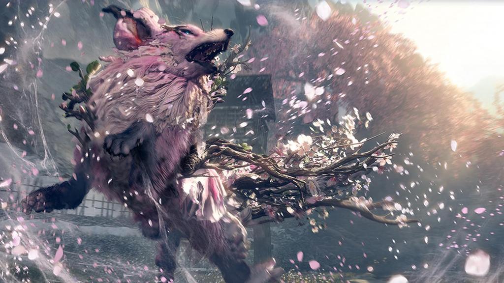 WILD HEARTS S [Switch2]