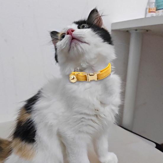 Cat Collar Velvet Solid Color Pet Chocker Necklace with Bell Adjustable Neck Collar for Cat Kitten Puppy Small Dogs