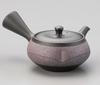 Teapot with Made in Japan J-kitchens Tokoname-yaki Strainer, 290cc,