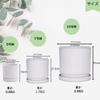 Greenship Planter with Saucer, Size 5 (15.8cm), Stylish Matte Finish, Eco-Friendly Material, Light Gray (Size 5)