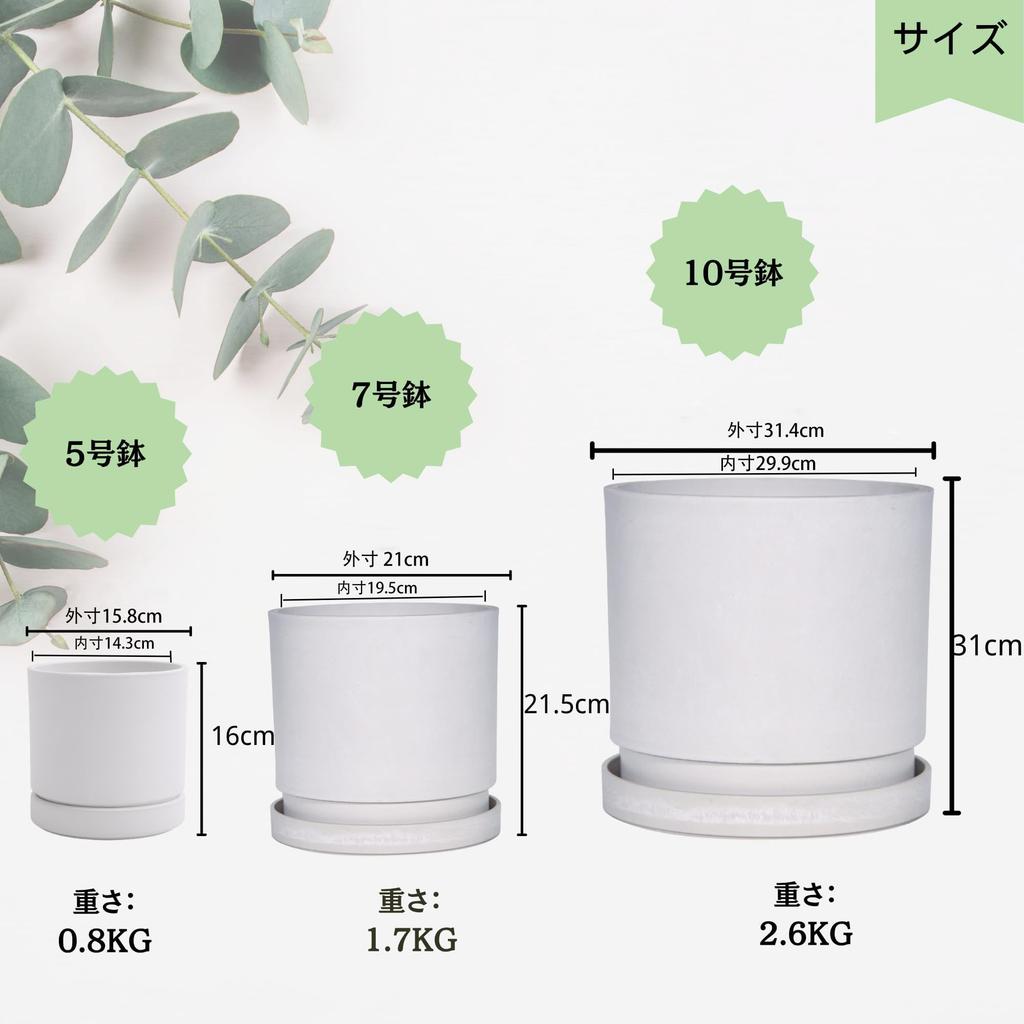 Greenship Planter with Saucer, Size 5 (15.8cm), Stylish Matte Finish, Eco-Friendly Material, Light Gray (Size 5)