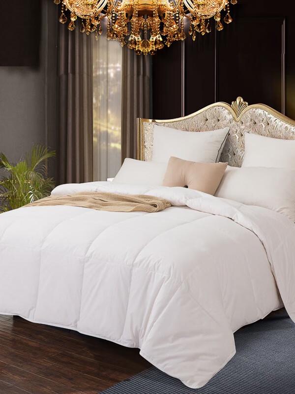 

Sea Snail Cloud Dream Thick Winter Duck Down Duvet