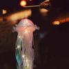 Yousheng Jellyfish Night Light Color Changing LED Jellyfish Lamp Portable Handheld Lantern Party Festival Lamp Safe Indoor Outdoor Night Decoration
