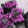 Halloween Spider Rose Creepy Flower Arrangement With Stems Scary Party Decoration Props For Haunted House Goth Home Decor