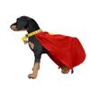 Red Dog Hero Costume Cape for Halloween and Parties, Superhero Dog Costume Cape Cosplay Set with Soft Collar and Tag Complete Set