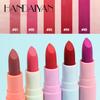 5-color Matte Lipstick Mini Plush Rabbit Fur Matte Moisturizing and Non-easy To Remove Makeup Lipstick Makeup Tool