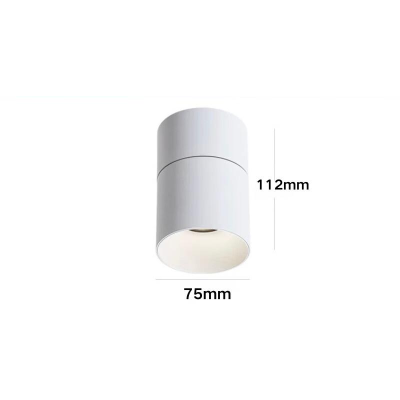 Oeny Adjustable Angle LED Downlight