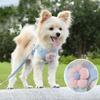 Pet Vest Traction Rope Dog Cartoon Three-dimensional Accessories Teddy Walking Dog Rope Cat Going Out Chest and Back Protection