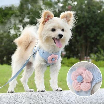 Cani – Collari e guinzagli per cani