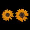 6 Natural Dried Flower Embellishment Case Decor