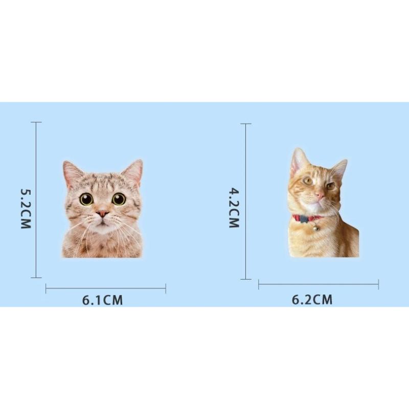 50pc/set Sweet INS Kitten Scrapbook Sticker Transparent Kawaii Cat Journaling Background Sticker DIY Decor Guitar Laptop Sticker