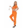 Halloween, Orange Female Prisoners Role-playing Game Uniforms, Nightclub Bar DS Show Costumes