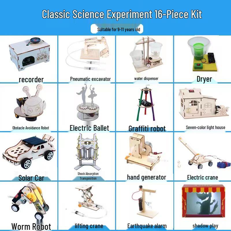 Elementary Science Experiment Wooden DIY Kit - Educational Toys