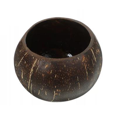 Dried Fruit Bowl Candle Coconut Bowl Candle Hand Poured Handmade Natural Beauty Natural Soy Wax Polished Coconut Shell