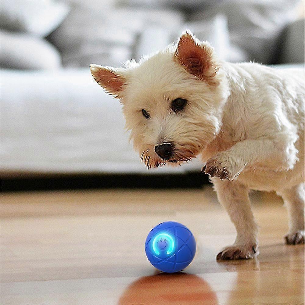 Fun Shaking Vibrating Ball Toy Designed for Dogs, Enhance Play Experience less