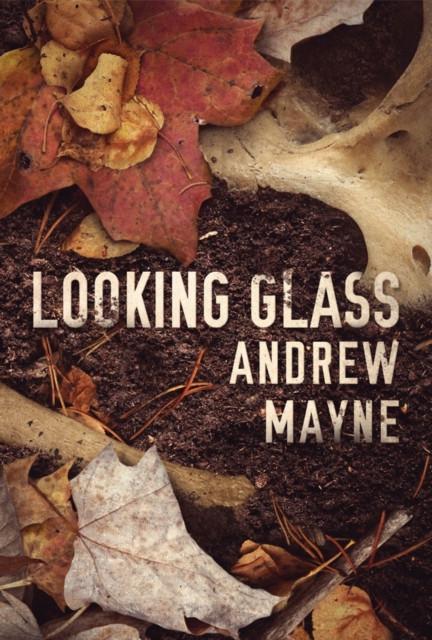 Looking Glass by Andrew Mayne Paperback Book 9781542047999
