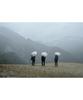 EVERNEW SHADOW Master 70 Umbrella for Sunny and Rainy Days EBYR792 Heat-Shielding