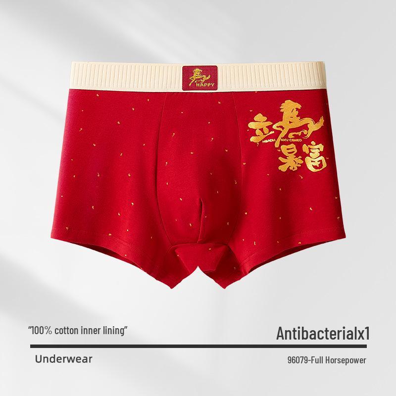 Boys' Full Cotton Underwear (Ages 15-18) - Pure Cotton Crotch for Autumn/Winter