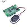 LIZAO AI Intelligent Voice Control Board, Offline Voice Recognition Switch Module, Low Power Voice Detection Development Module