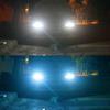 T10 Auto Wedge Turn Side Bulbs Car Interior Lamp Car License Number Plate Lights Reading Light